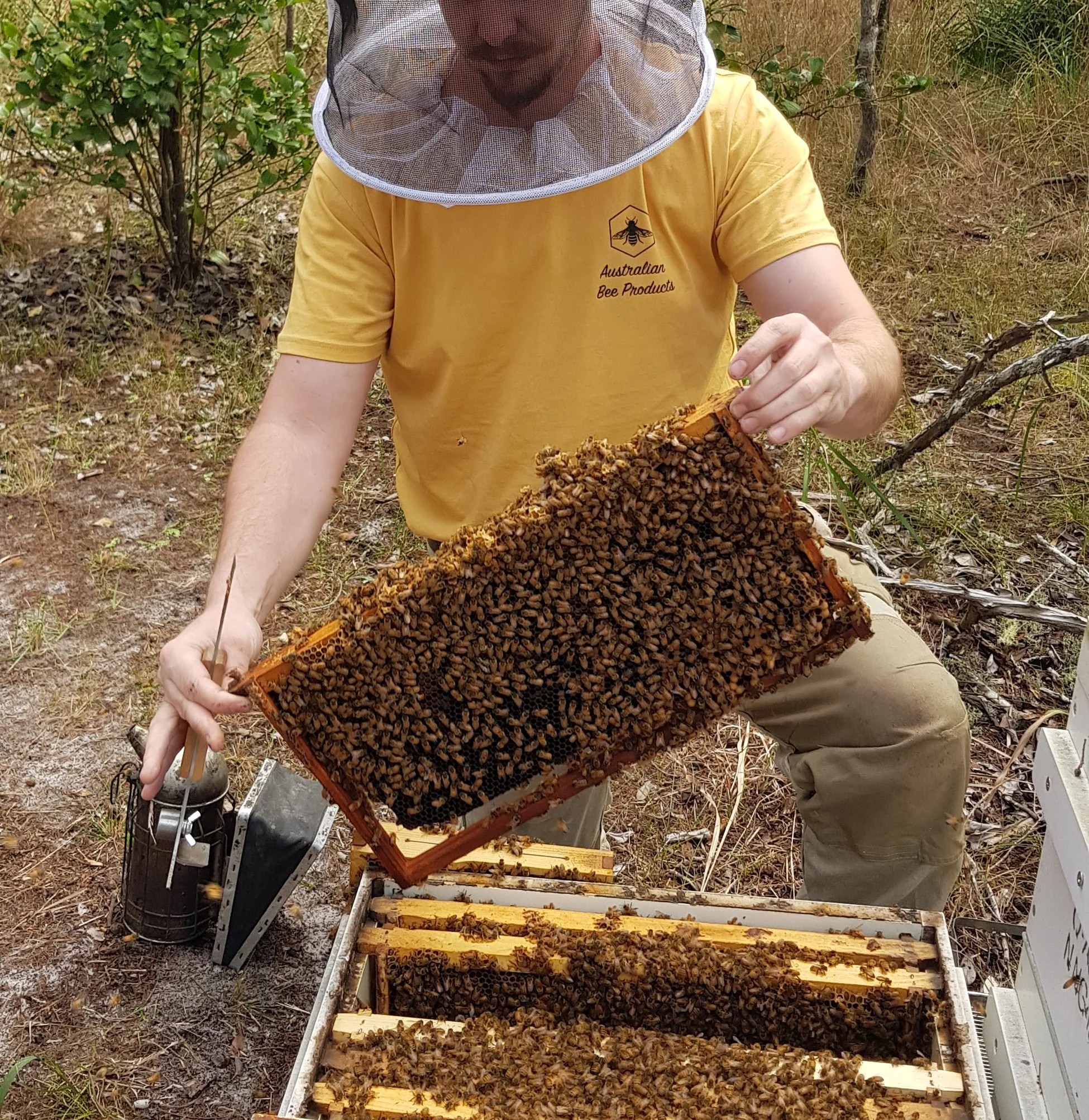 Australian Bee Products & Mount Stirling Meadery