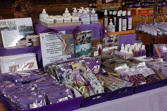 Lavender and Patchwork